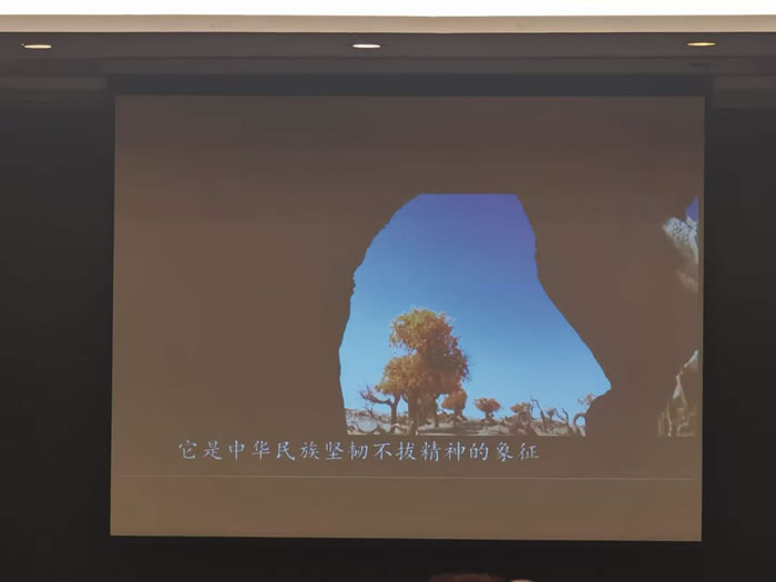 綿陽中旅行假日旅行社舉行胡楊林、南疆專列推薦會