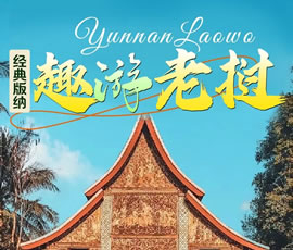 【趣游老撾 · 經(jīng)典版納】—昆明、普洱、西雙版納、磨丁、瑯勃拉邦四動8日游
